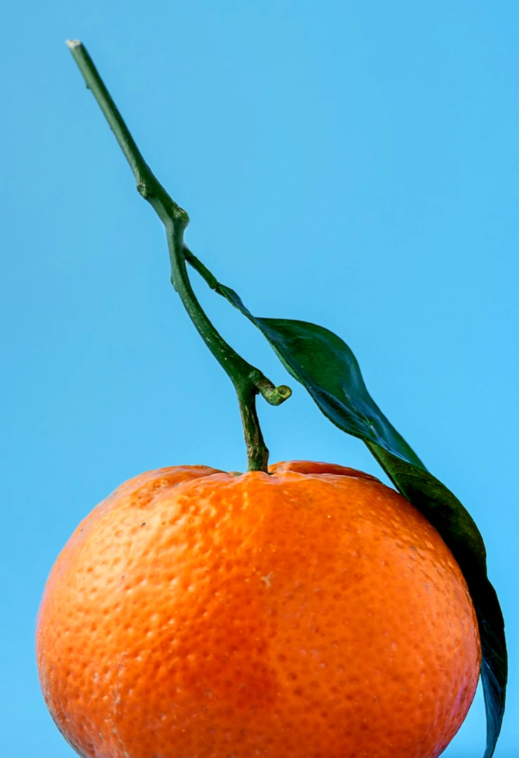 MANDARIN
ORANGE